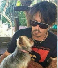 Ator transportou cachorros da raça terrier de maneira ilegal ao país. Só porque é ele não significa que está isento de cumprir a lei, diz ministro.